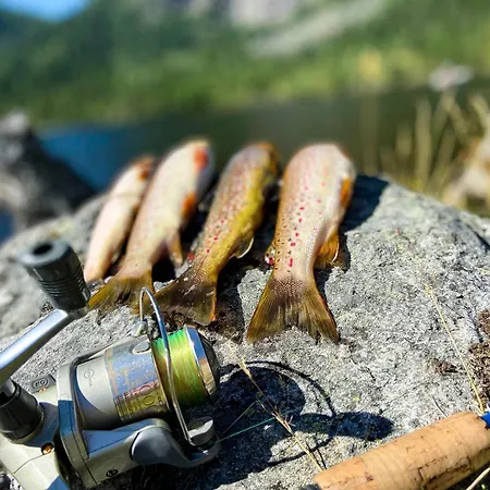 Holiday home Maurtua - In Lovely Surroundings